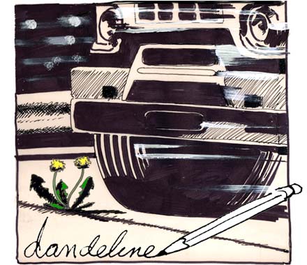 dandeline